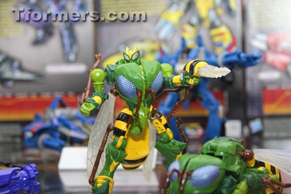 Transformers Sdcc 2013 Preview Night  (192 of 306)